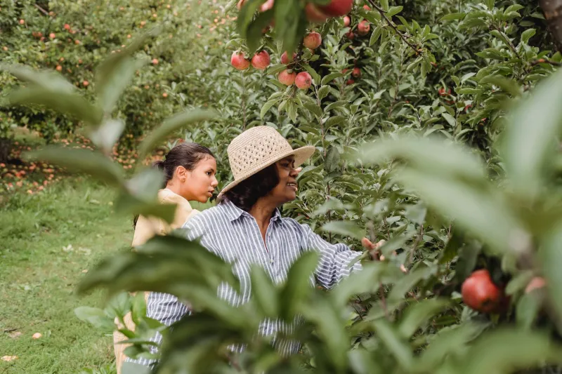 Gates Open, Boots Welcome: How Tennessee Farm Families Are Turning Acres Into Experiences
