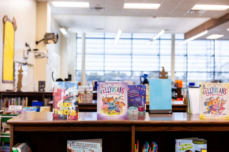 The Quiet Keepers: How Tennessee's Small-Town Librarians Became the Heart of Main Street